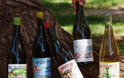 Santa Julia’s New Organic Wines, Amazing!